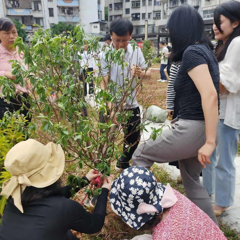 第三支部.jpg 第三支部.jpg